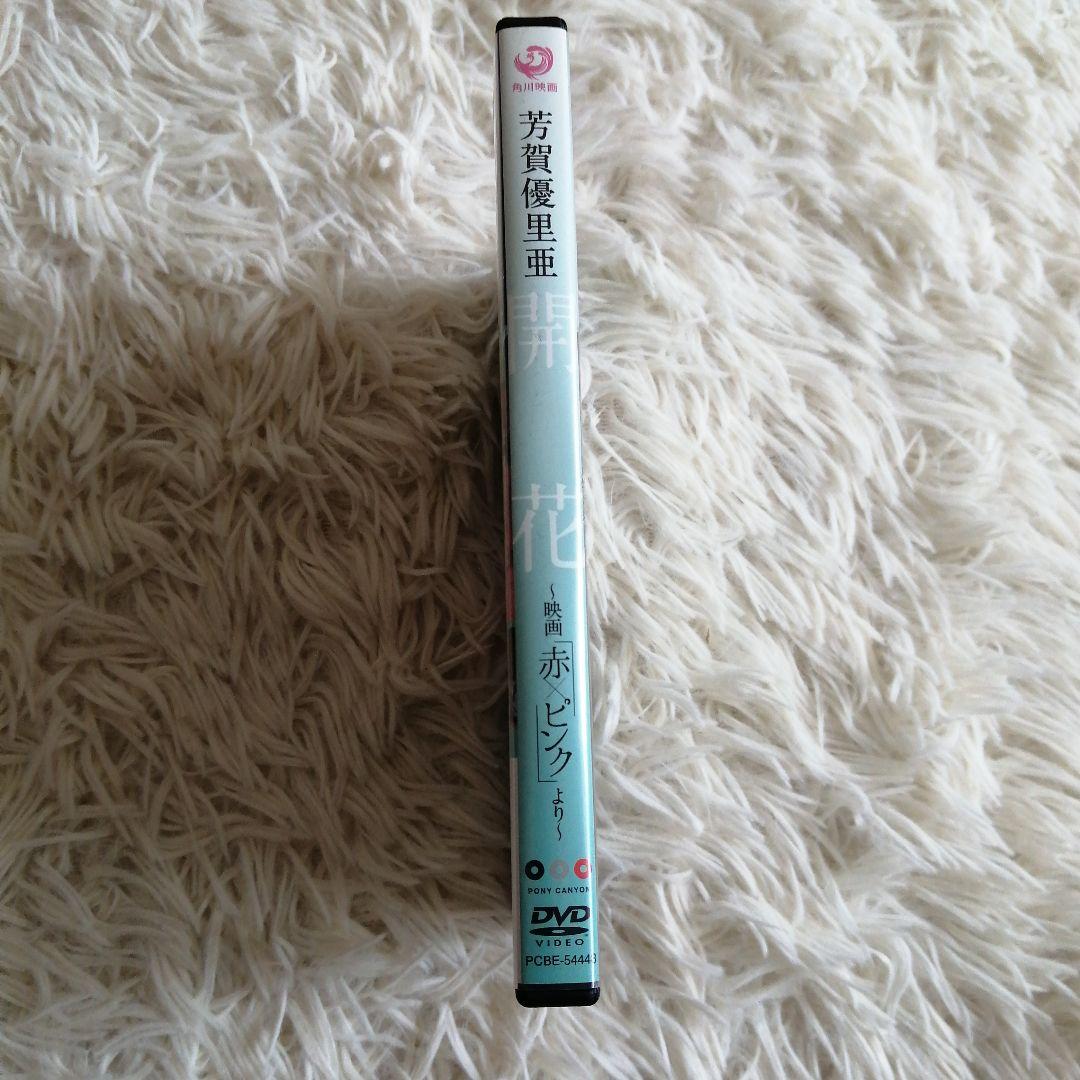 【貴重】芳賀優里亜DVD 開花 〜映画 「赤✕ピンク」より〜