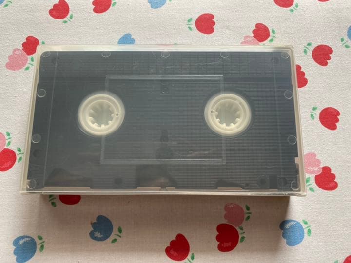 （レア）青年は荒野をめざす　VHS ビデオテープ