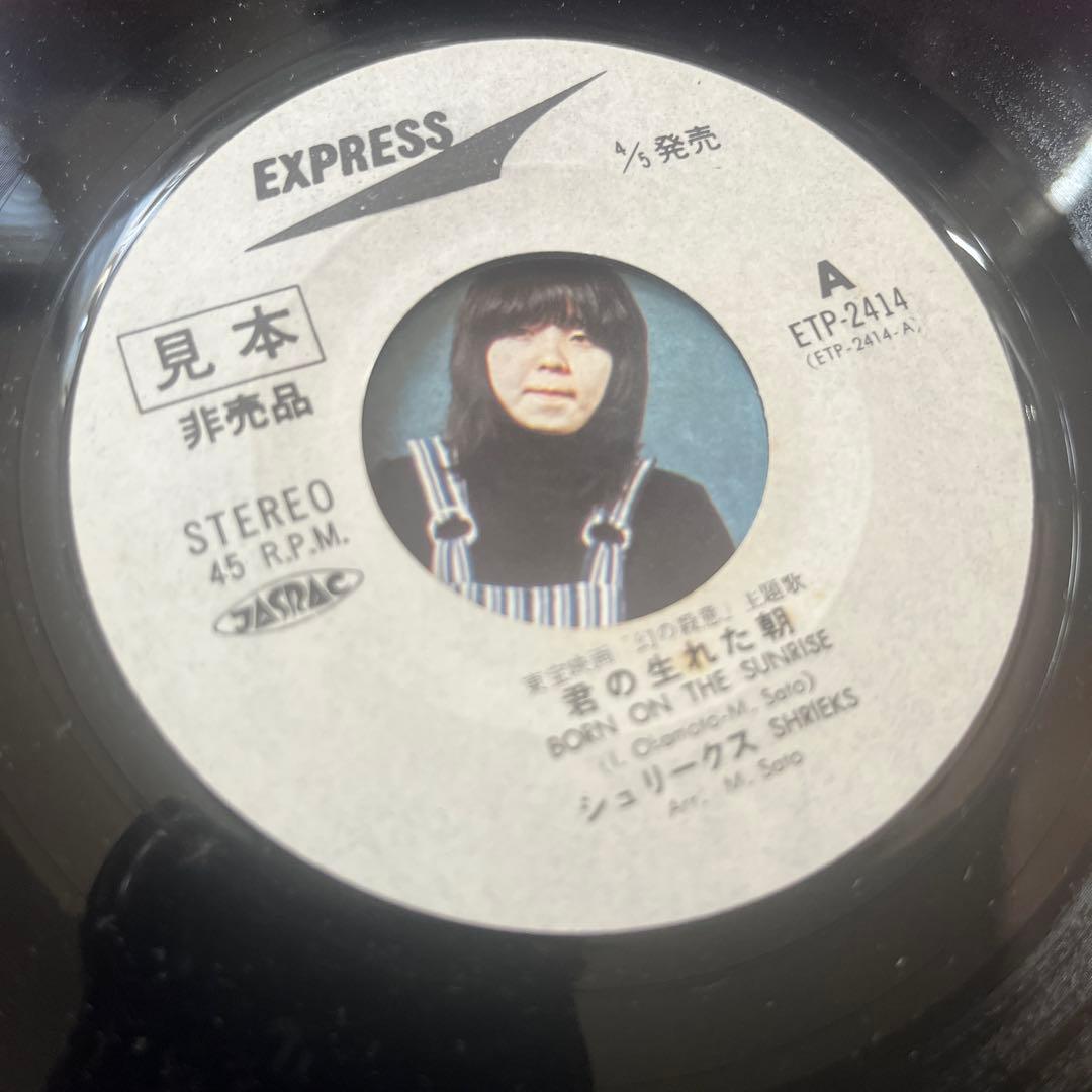 レア⭐︎見本盤 シュリークス「君の生まれた朝」～幻の殺意　イルカ 非売品