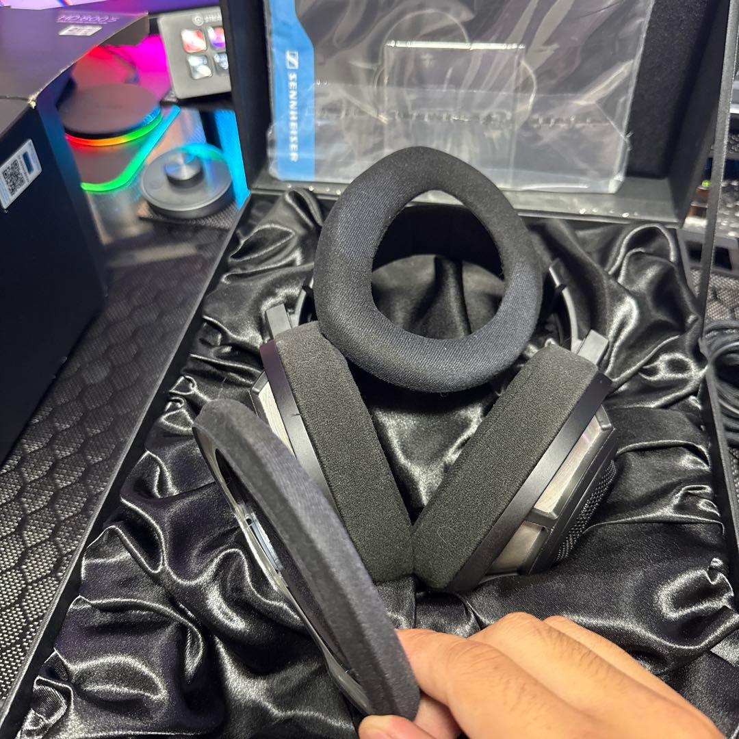 HD800S No：11206