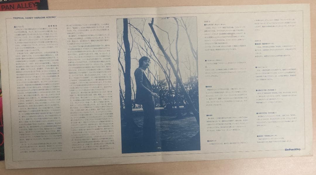 れこばさん専用稀少・名盤/細野晴臣 トロピカルダンディー レコード オリジナル