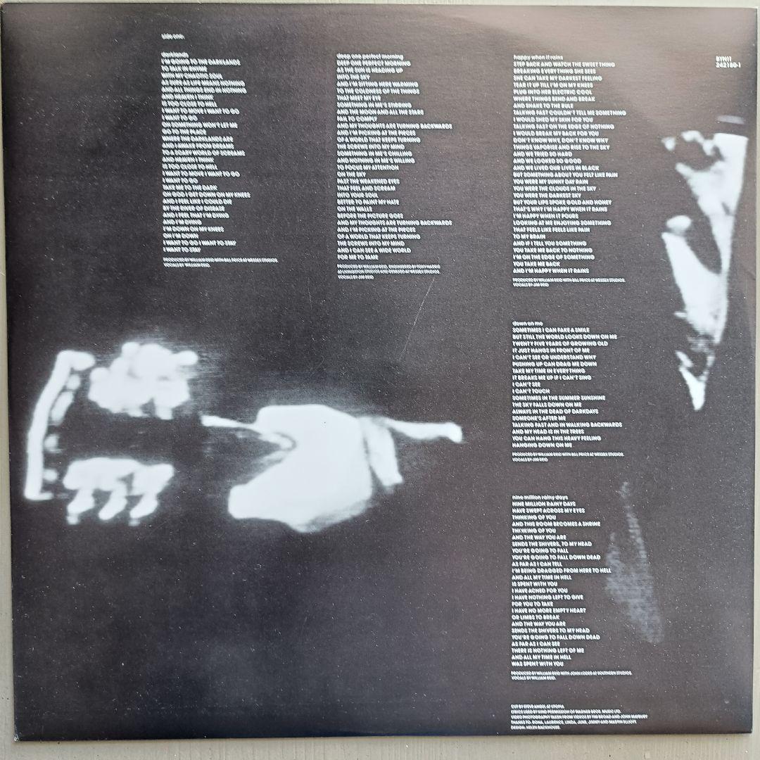 The Jesus and Mary Chain Darklands レコード