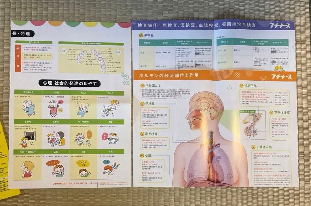 プチナース　雑誌と別冊付録のセット