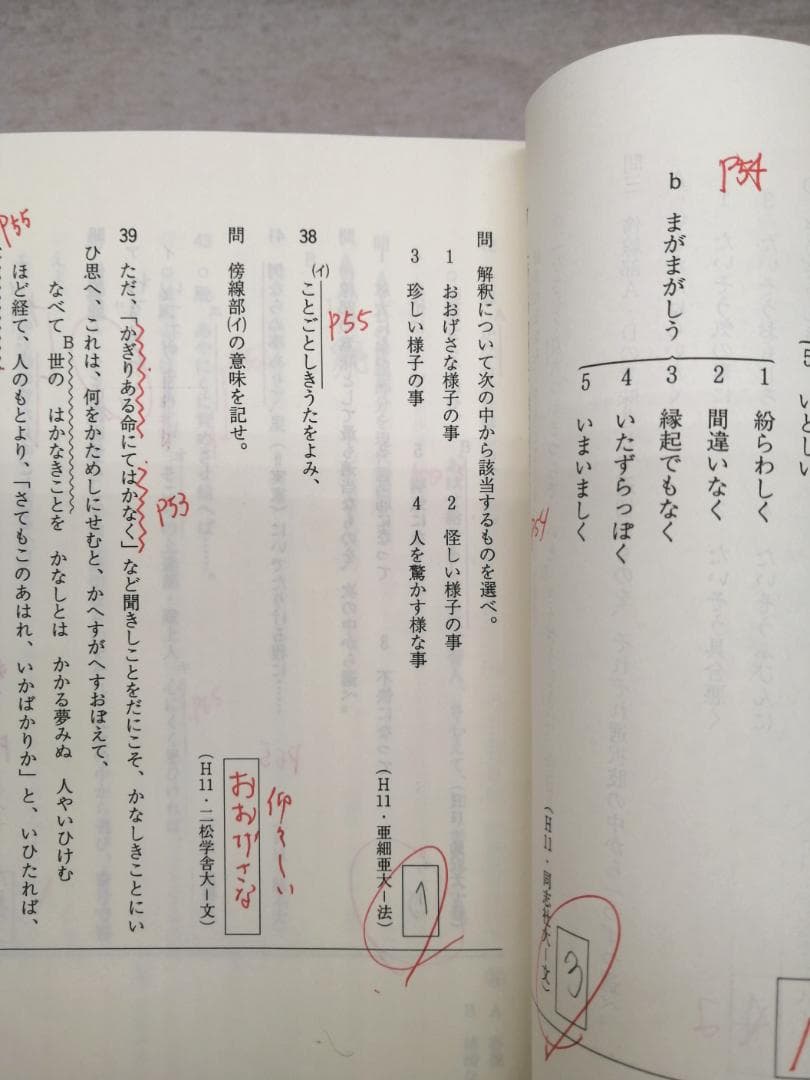 代ゼミ激動の1年 古文最後の暴走 さらば愛しの受験生 ※送料無料　即購入可