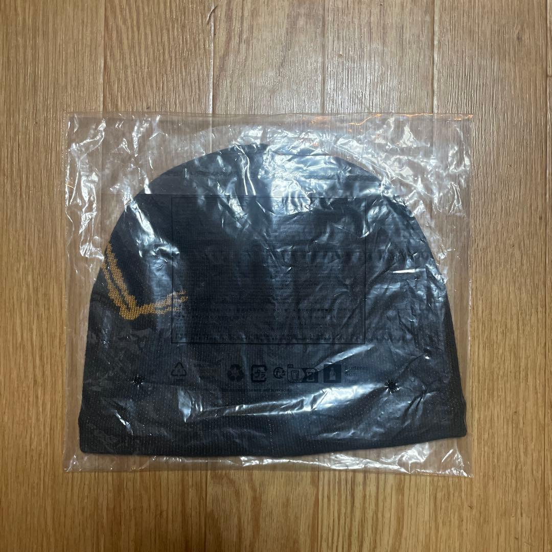 Arc’teryx bird head toque