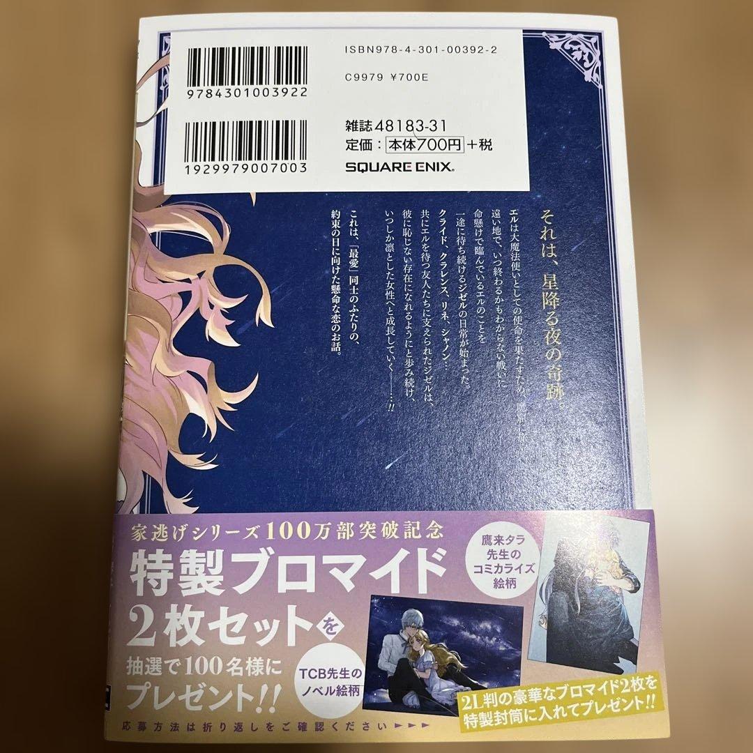 家から逃げ出したい私が、うっかり憧れの大魔法使い様を買ってしまったら(コミック…