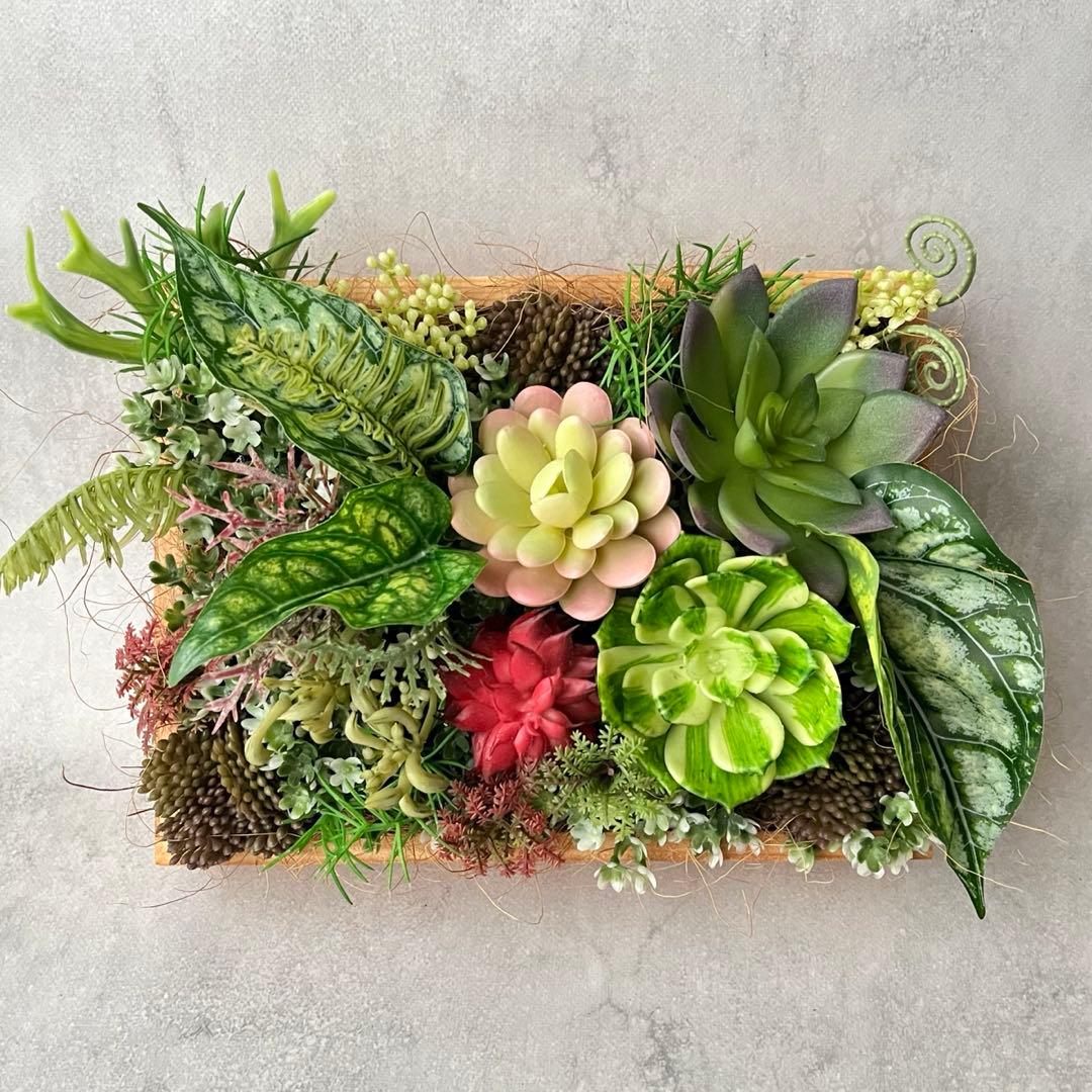 おまとめご希望のアレンジメント3点/多肉植物のナチュラルフレーム