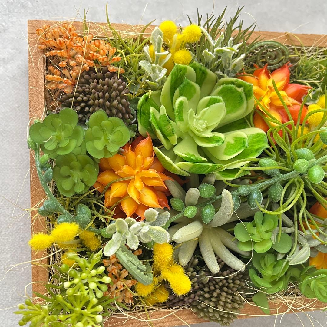 おまとめご希望のアレンジメント3点/多肉植物のナチュラルフレーム