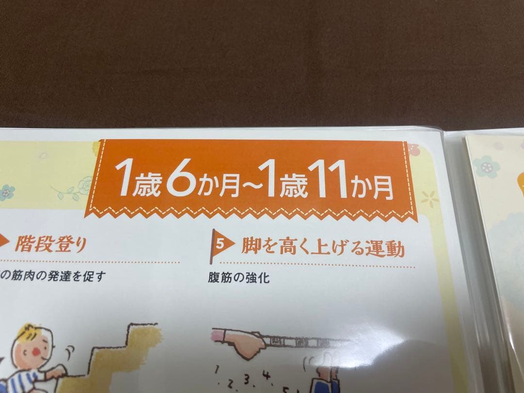 【おまとめ】七田式8ヶ月〜1歳7ヶ月/1歳9ヶ月〜2歳8ヶ月・育脳BOOK全月齢