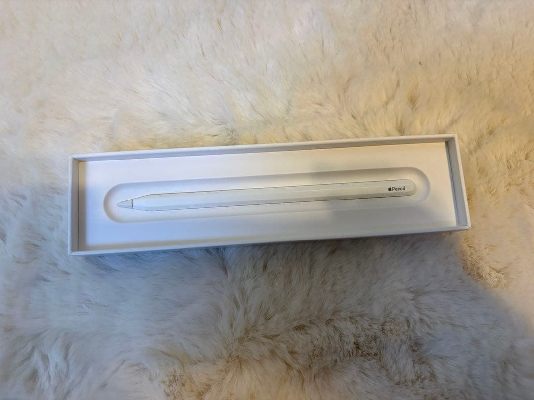 Apple Pencil 第2世代 第二世代 純正 箱あり 動作確認済