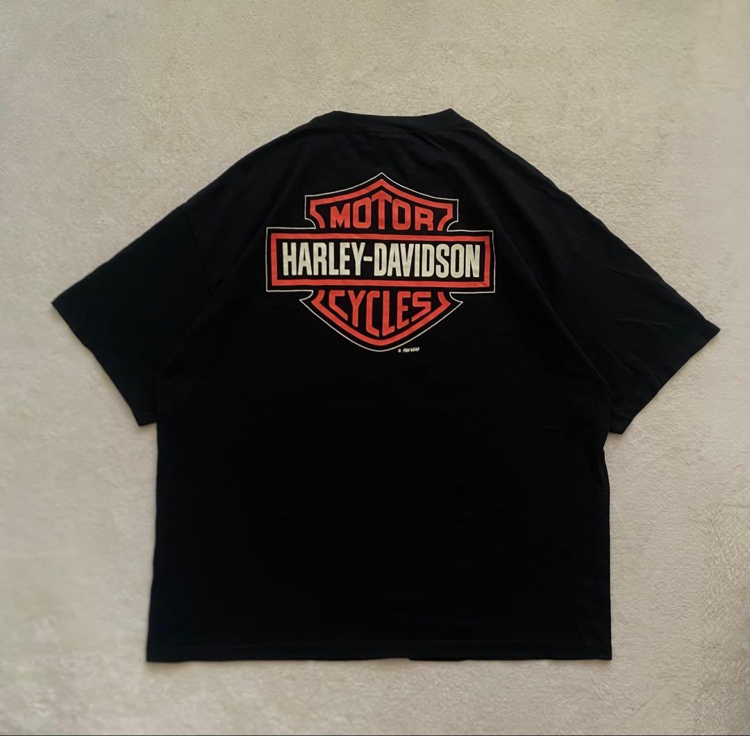 HARLEY DAVIDSON ハーレーダビッドソンT FUN WEAR社製