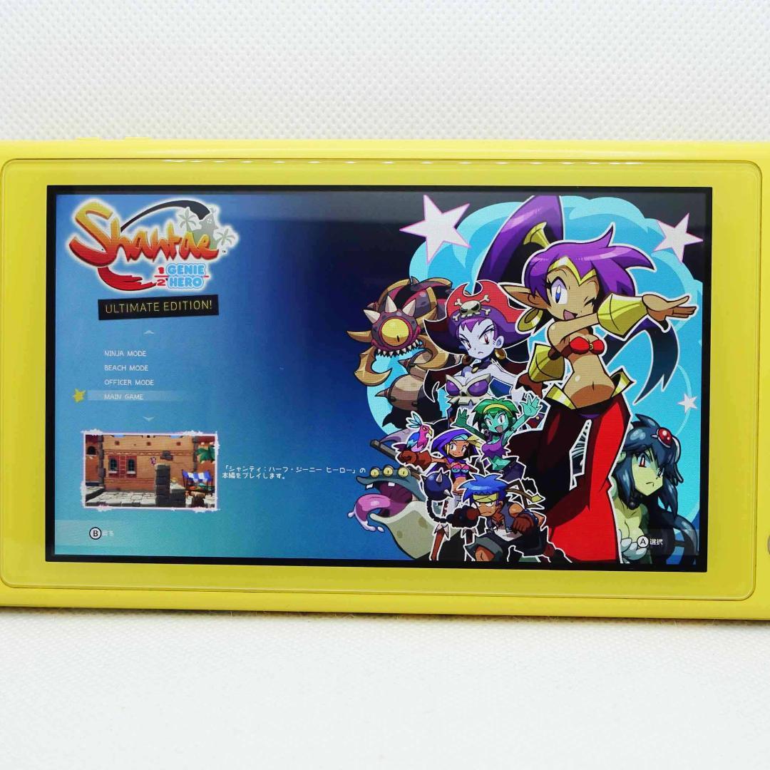 【動作OK】Nintendo switch lite +ACアダプタ+ポーチ
