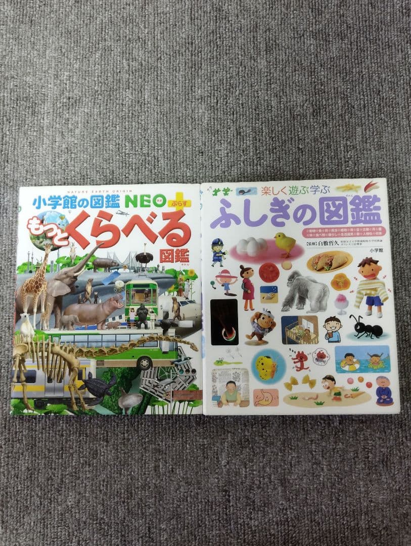 小学館の図鑑NEO　10冊セット　DVD2枚付