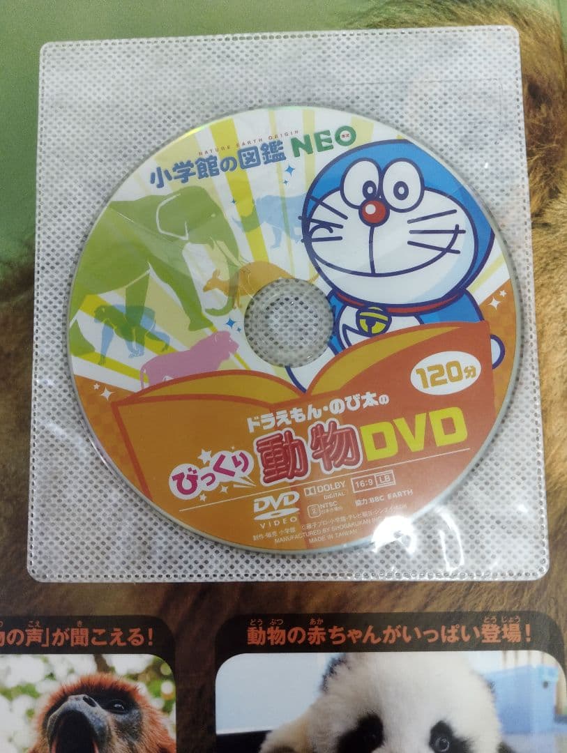 小学館の図鑑NEO　10冊セット　DVD2枚付