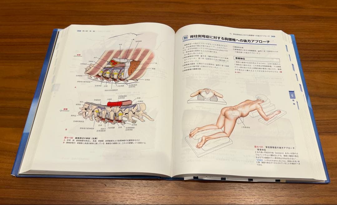 【未裁断】　整形外科医のための手術解剖図説　第5版