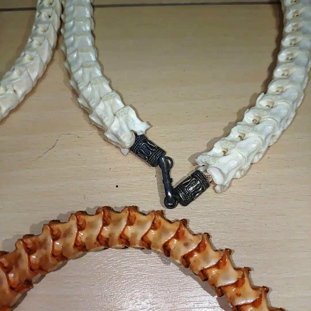 蛇の骨　ウォレットチェーンとチョーカー