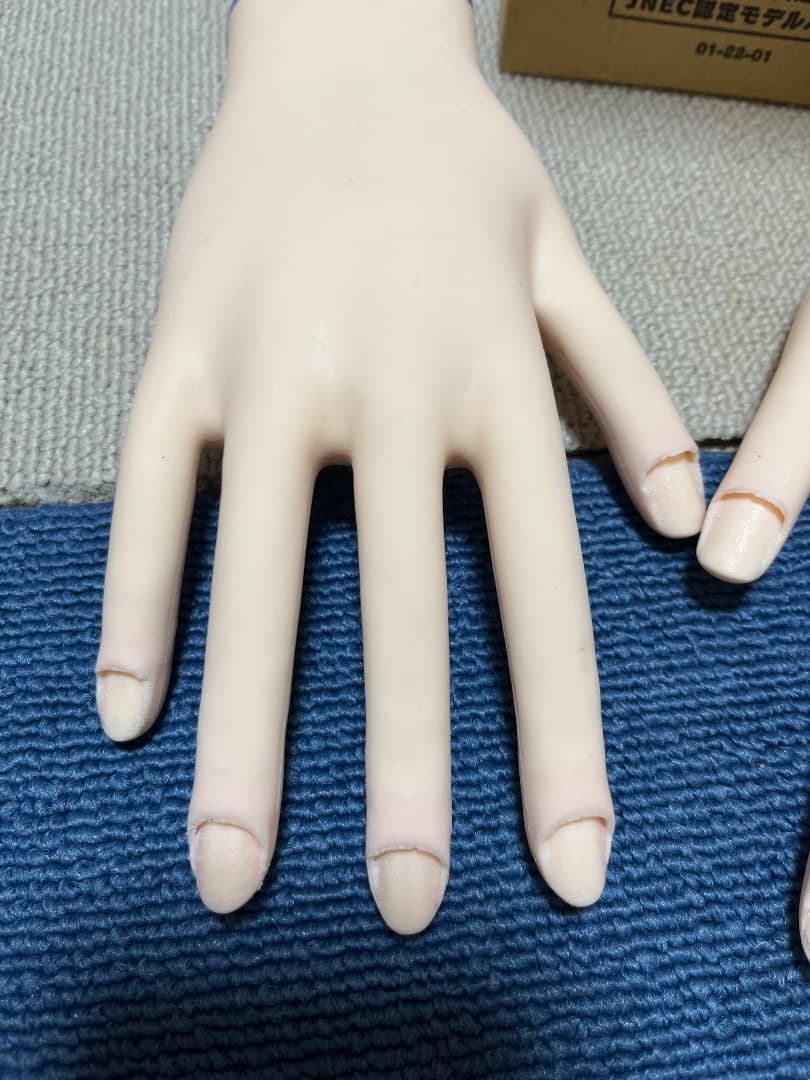 JNA認定ハンドモデル