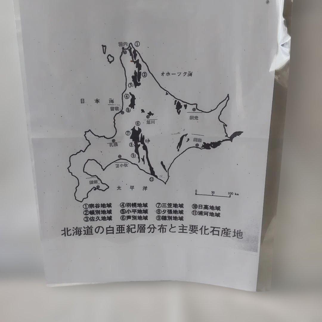 北海道の主な化石産出地の「５万分の１地質図幅説明書」９冊＋資料と化石のおまけ