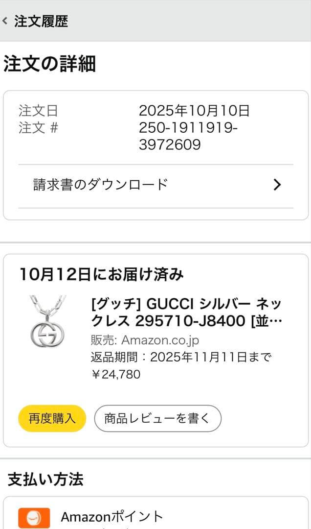 新品未使用‼️GUCCI グッチ インターロッキング ネックレス シルバー925