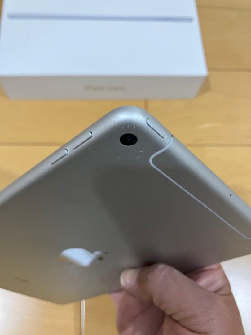 Apple iPad mini 5世代 Cellular 256GB