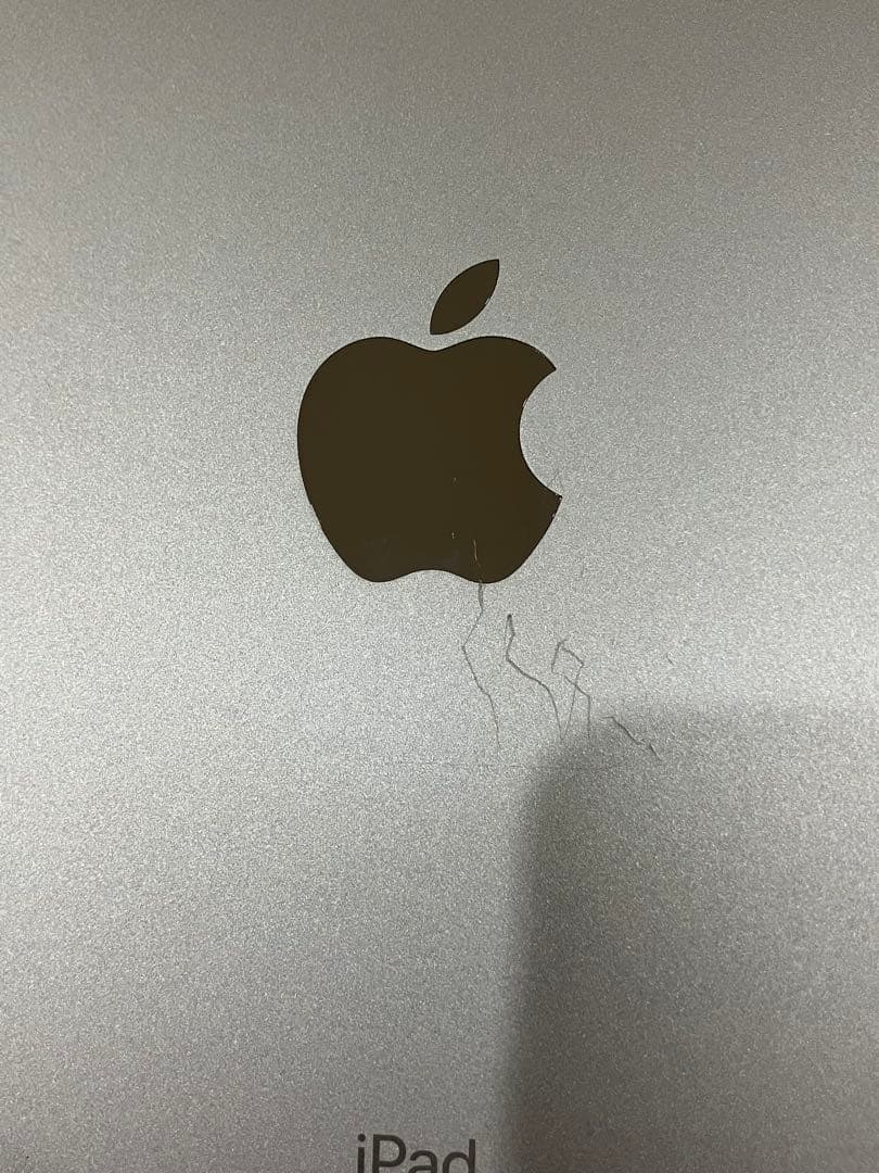 Apple iPad mini 5世代 Cellular 256GB