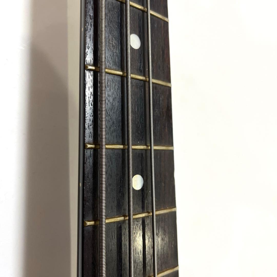 Aria Pro II RSB エレクトリックベース