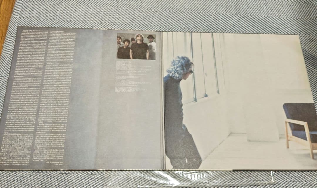 佐野元春　月と専制君主　アナログ盤