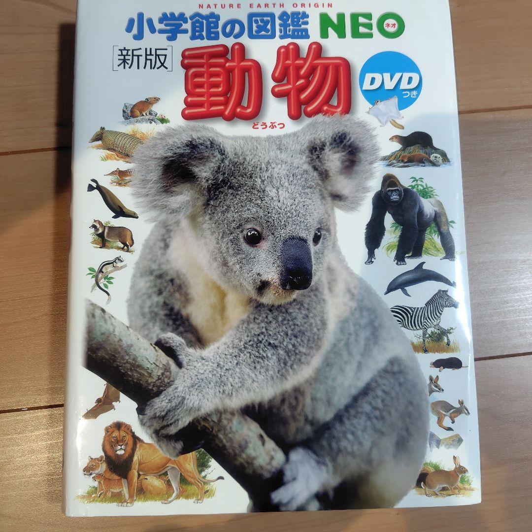 小学館の図鑑NEO 11冊セット　DVD8冊あり