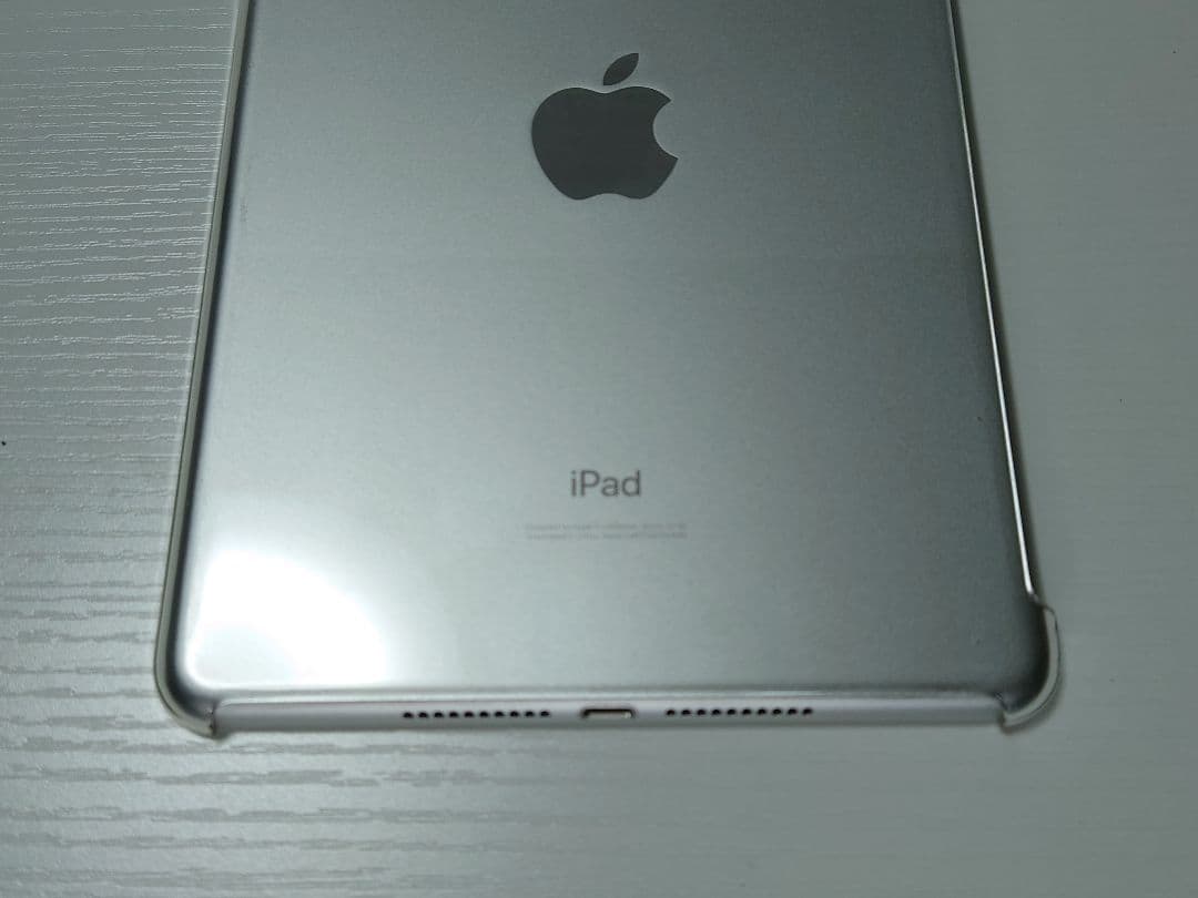 iPad mini 第5世代 Wi-Fiモデル 64GB　ケース付