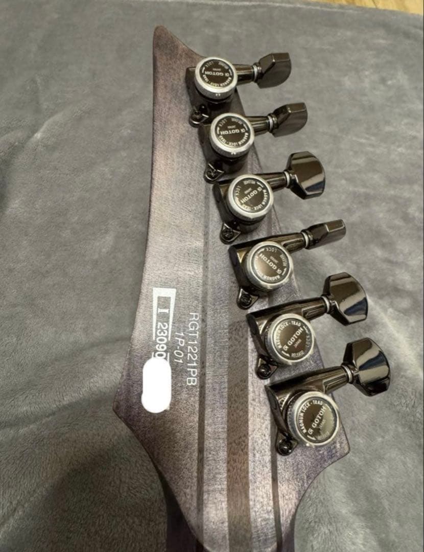 ギター Ibanez RGT1221PB DTF