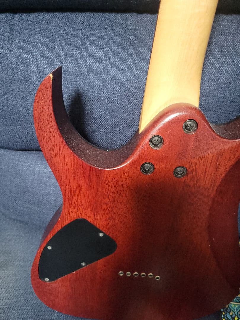 アイバニーズ Ibanez RG421PB　動作品　おまけ盛り沢山