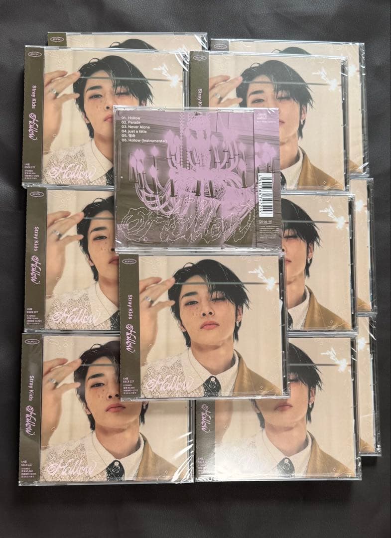 StrayKids Hollow FC盤 I.N 14枚