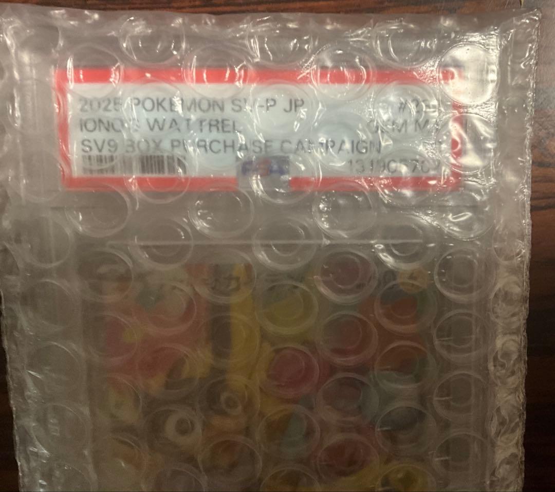 ナンジャモのカイデン PSA10