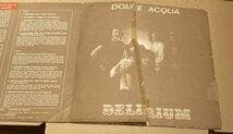 BRA盤72年ゲートフォールド！Delirium /Dolce Acqua