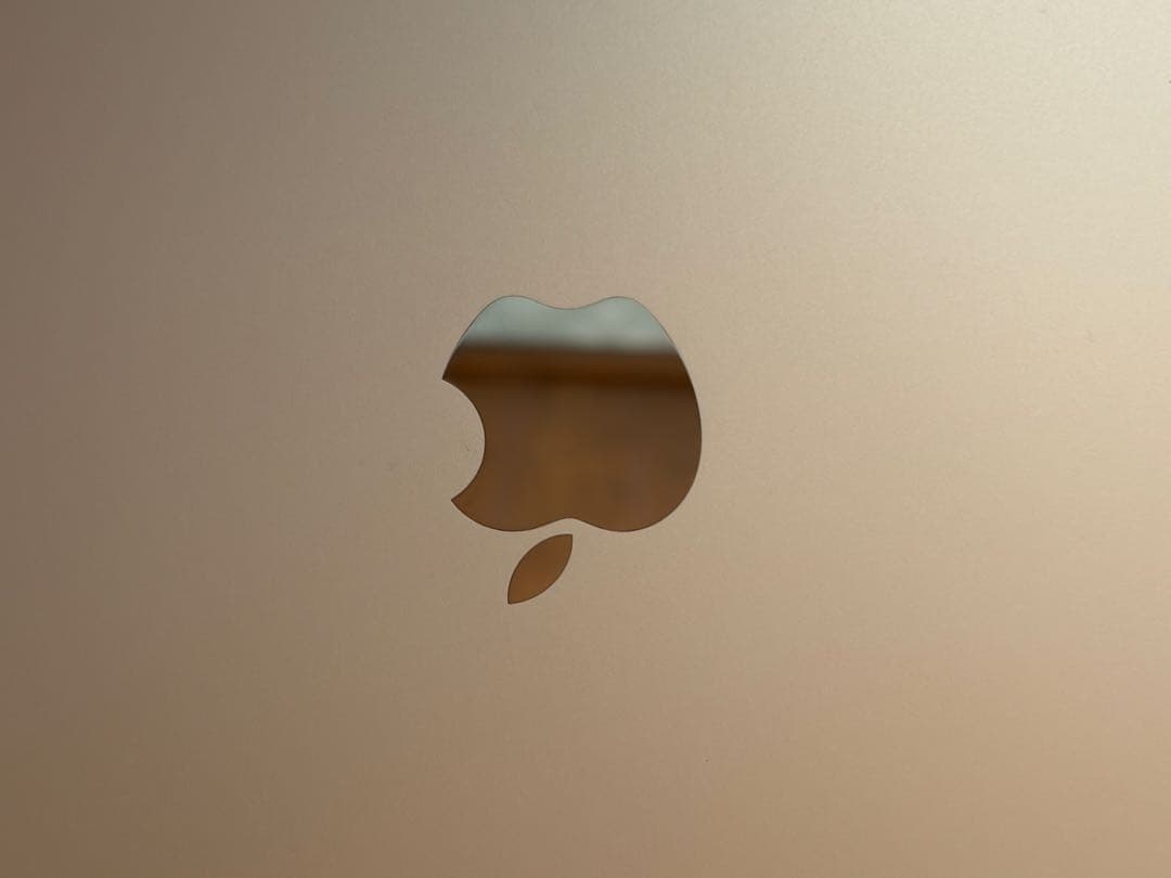 Apple iPad 10.9インチ シルバー 本体 256GB