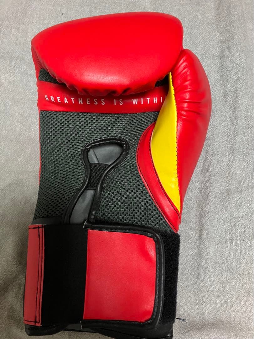 EVERLAST エバーラスト ELITE エリート グローブ　14オンス