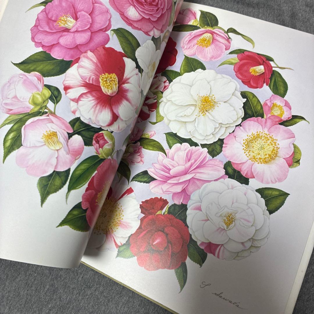 BOTANICAL ART KAHO SAWADA 大型本　定価1万2000円