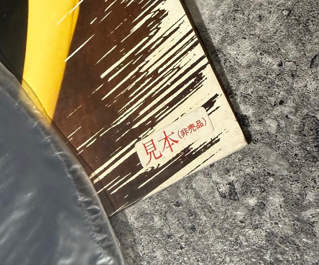 見本盤 北原リエ PASSION DANCE LPレコード 非売品 EWS
