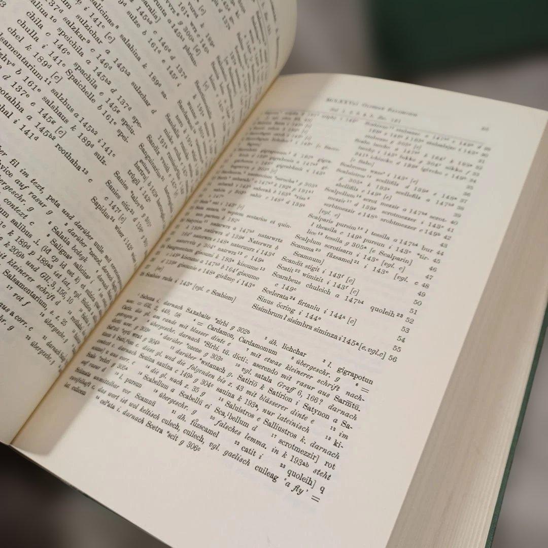 洋書　古高ドイツ語グロッセ（注解・語釈）集