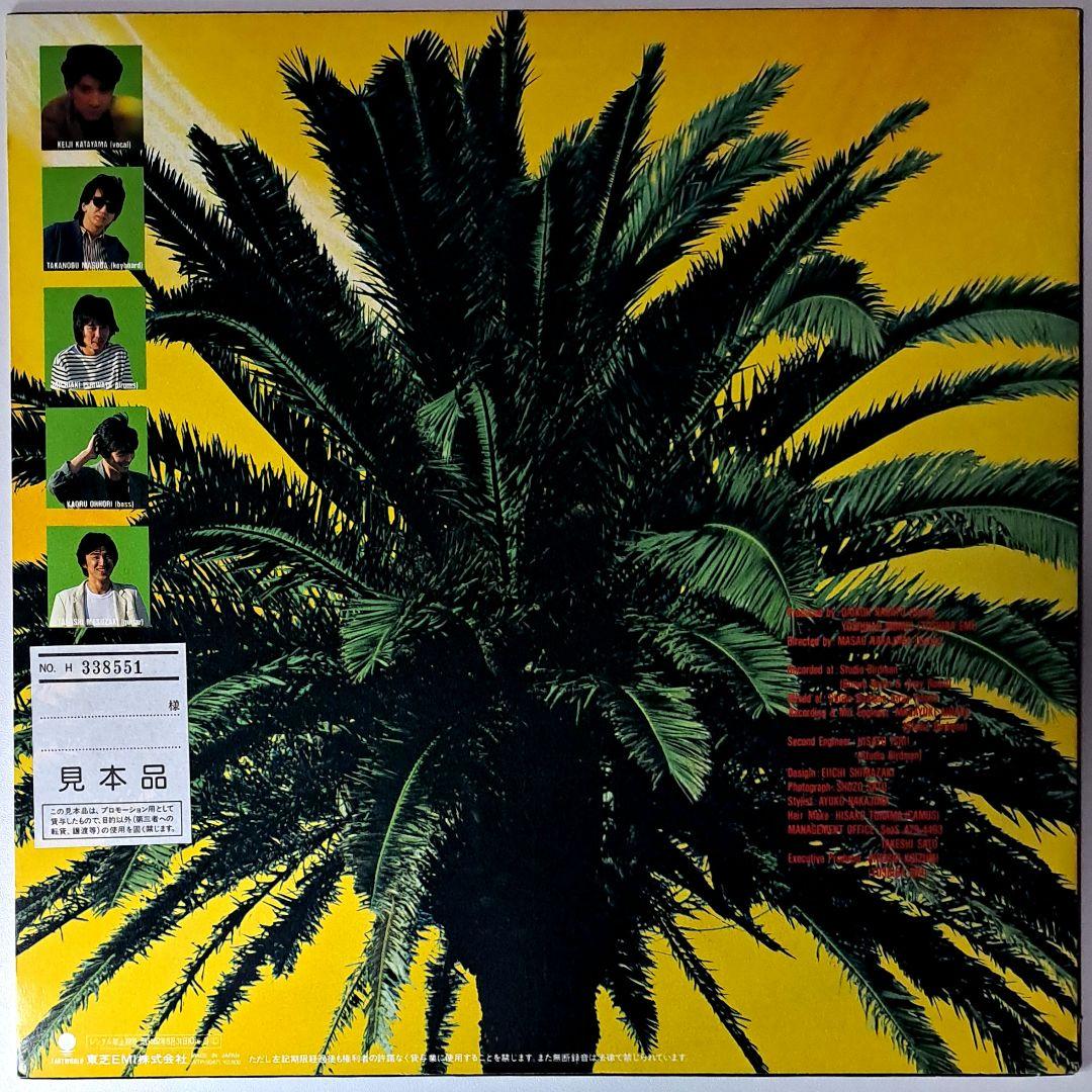 名盤　Bluew　Surfbreak　非売品　レコード　LP　シティポップ