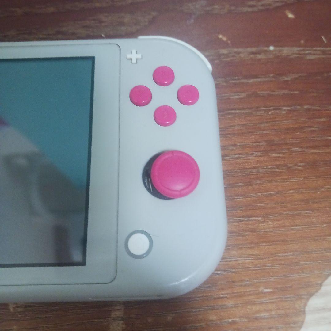 Nintendo Switch Lite　ザシアン　ザマゼンタ