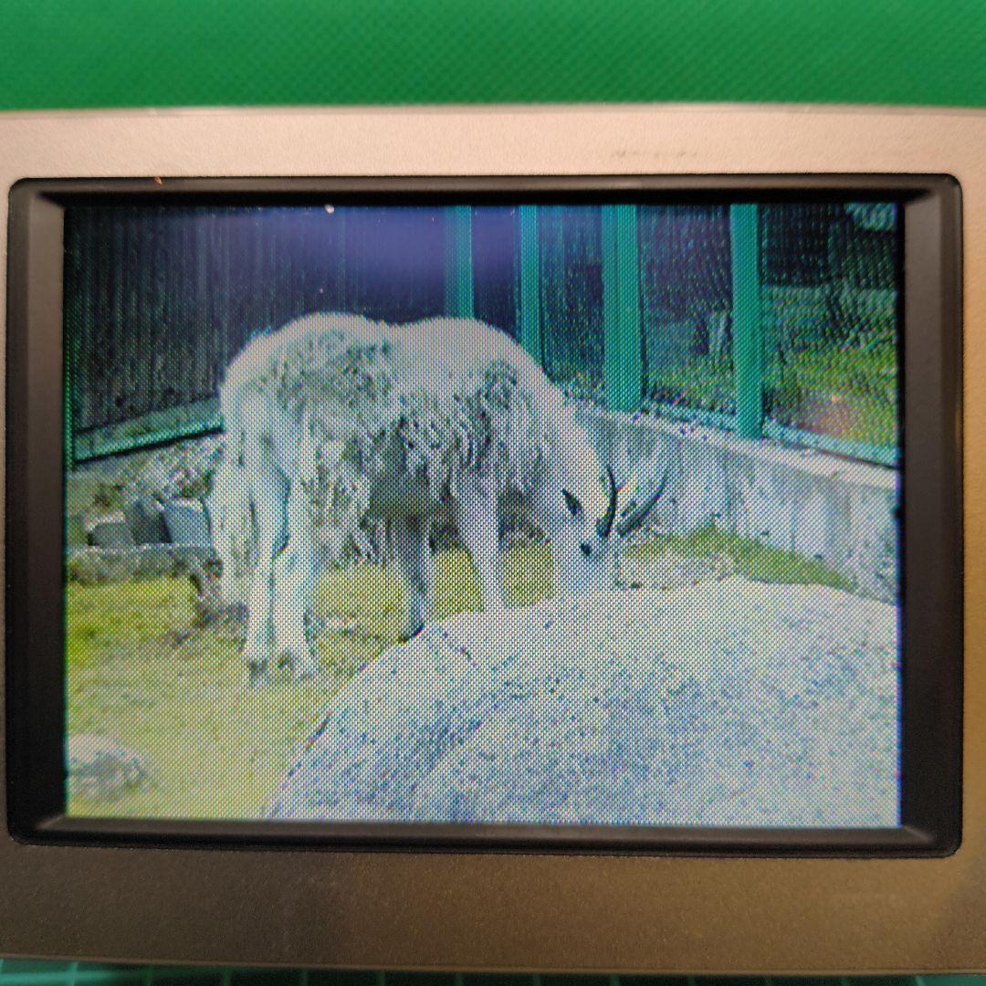 【動作確認済】SONY ソニー DCR-TRV7 大画面 Mini DV