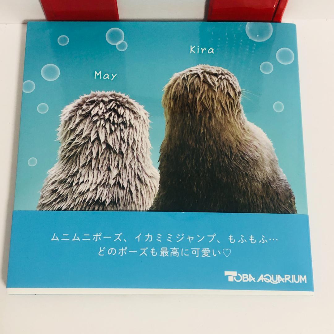 ラッコのメイとキラ 鳥羽水族館 オリジナル写真集