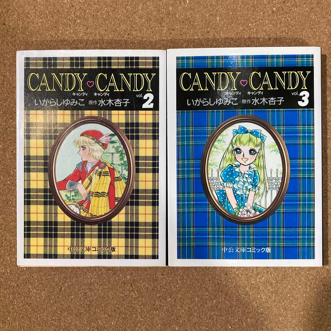 キャンディ♡キャンディ　2巻〜6巻　5冊　いがらしゆみこ　中公文庫