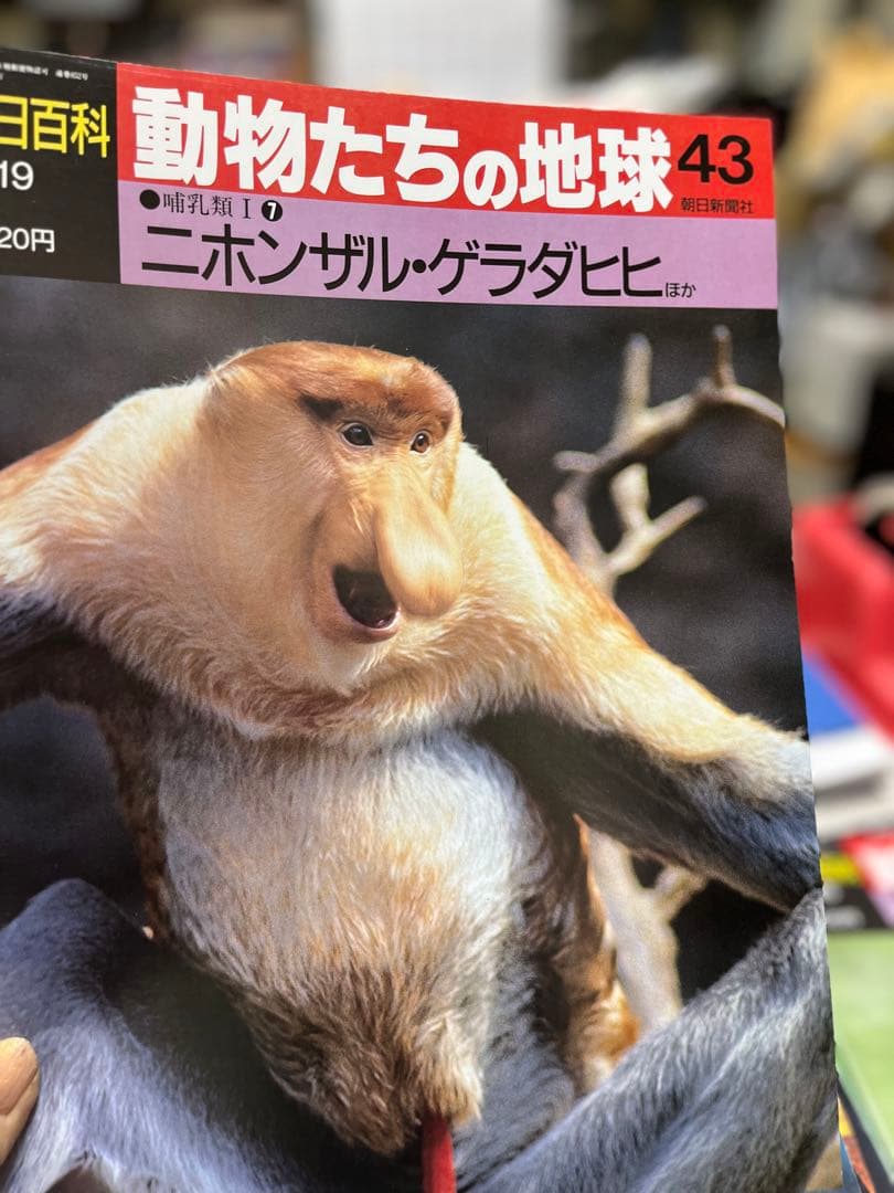 週間朝日百科　動物たちの地球 1〜144