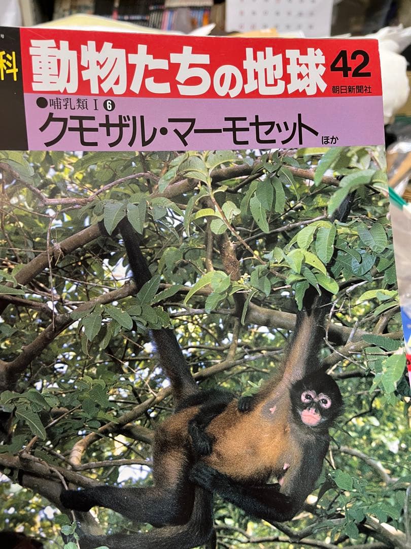 週間朝日百科　動物たちの地球 1〜144