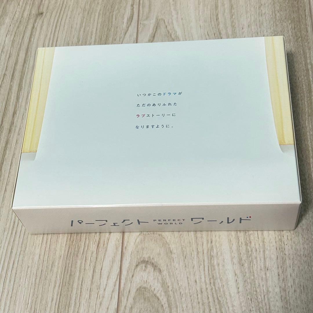 ドラマ『パーフェクトワールド』 DVDボックス