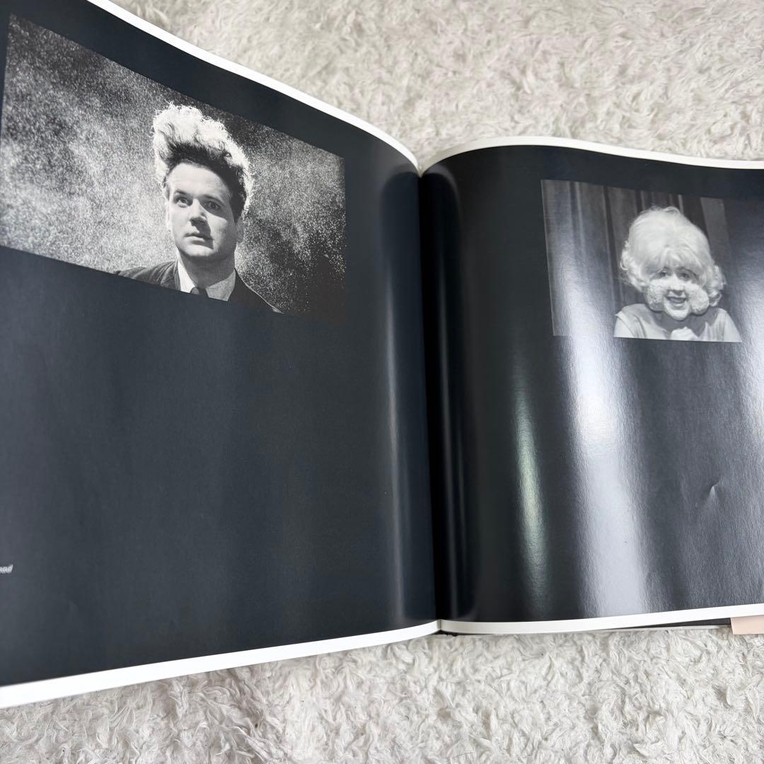 希少　David Lynch dark splendor