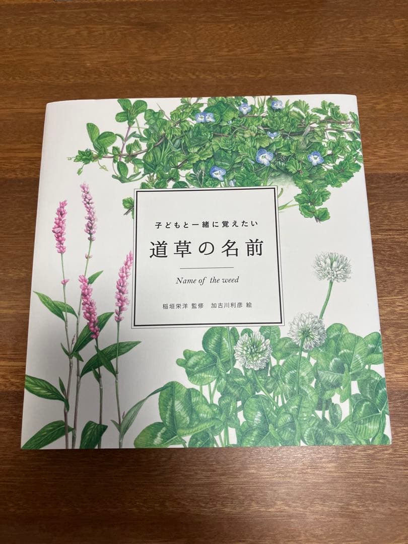 子どもと一緒に覚えたい 野鳥の名前 他 5冊セット バラ売り不可