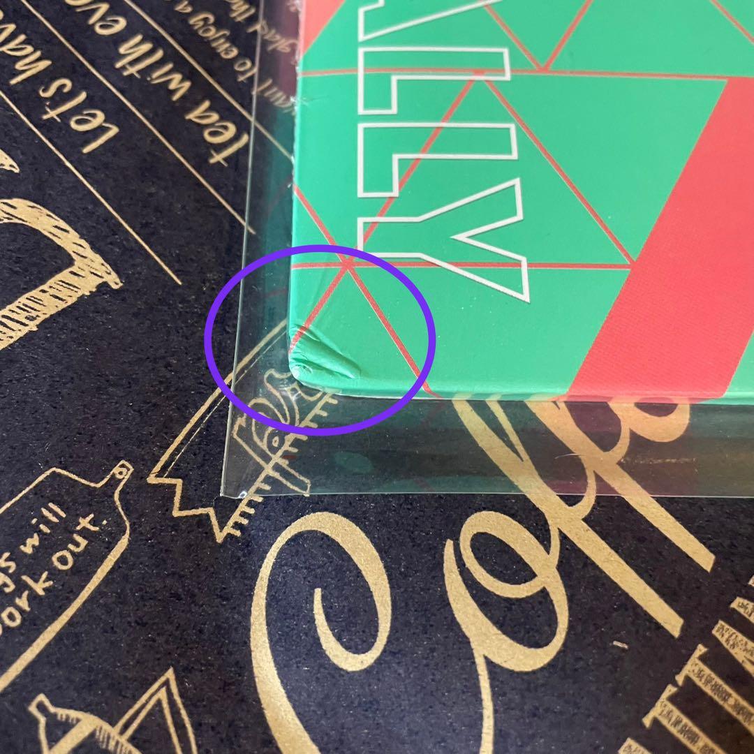 EVANGELION FINALLY レコード　エヴァンゲリオン VINYL
